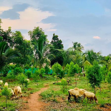 Eco Farm Villa Bangalore Exterior photo