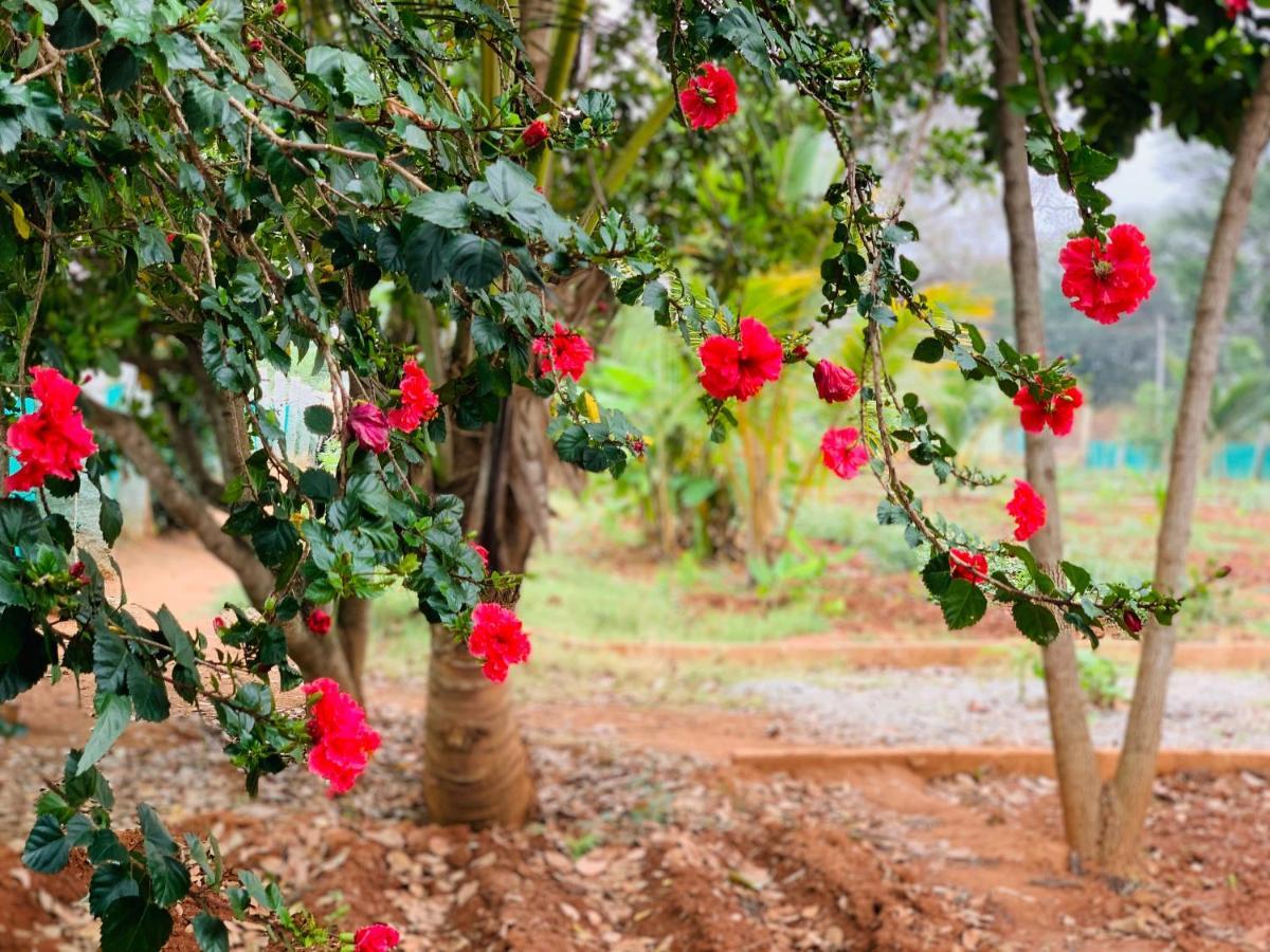 Eco Farm Villa Bangalore Exterior photo