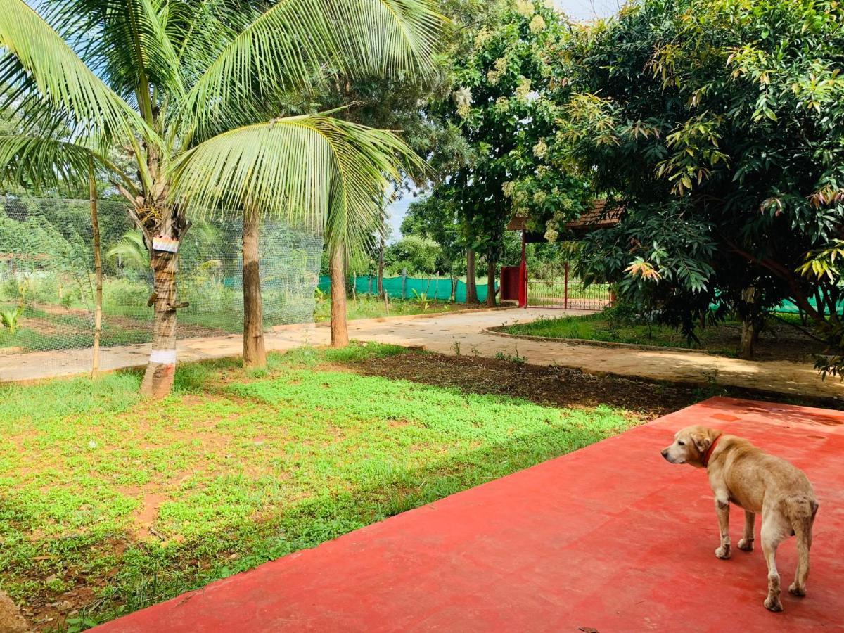 Eco Farm Villa Bangalore Exterior photo
