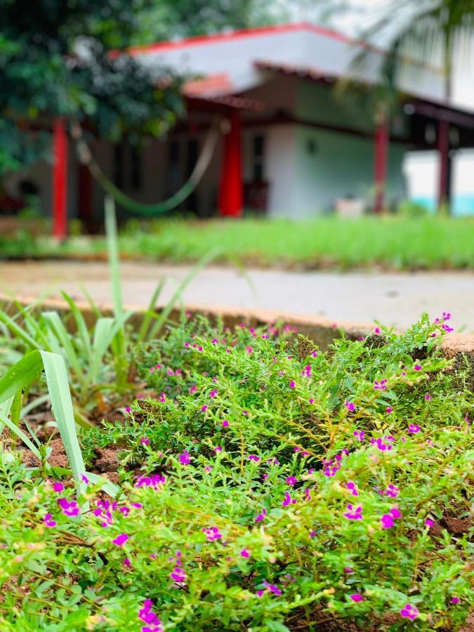 Eco Farm Villa Bangalore Exterior photo