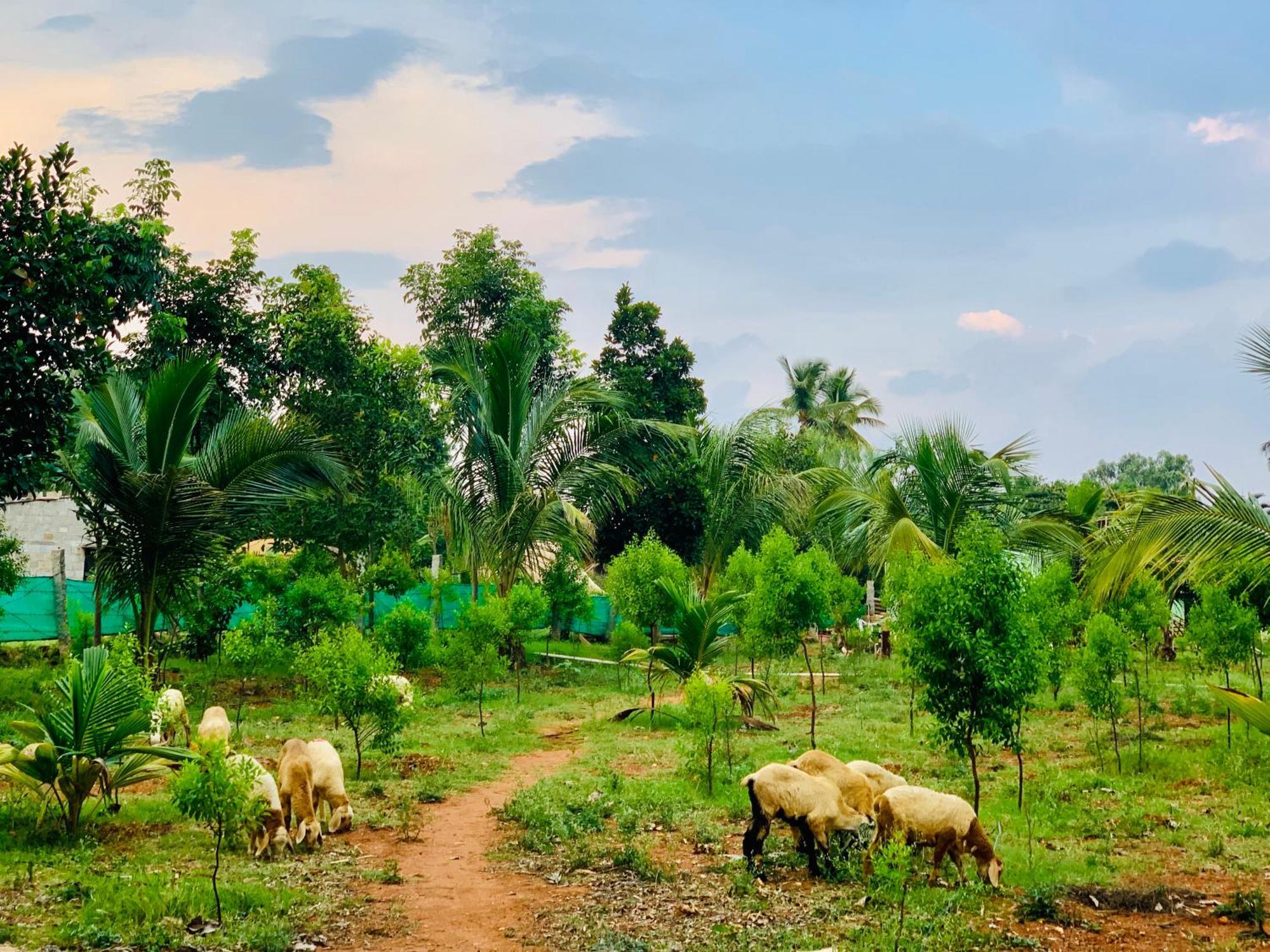 Eco Farm Villa Bangalore Exterior photo